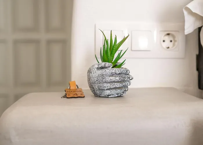 Sienalice Naxos Next To The Apartment Naxos City